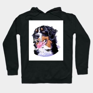 BERNER DOG Hoodie